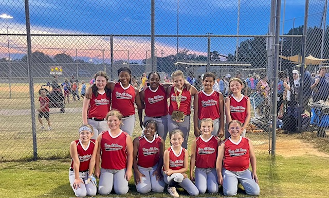 Photos: Local all-star softball team competes at state championship