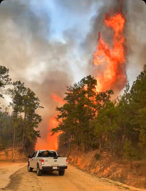 Woods Fire on Attala Rd. 3232 Burns Saturday and Sunday