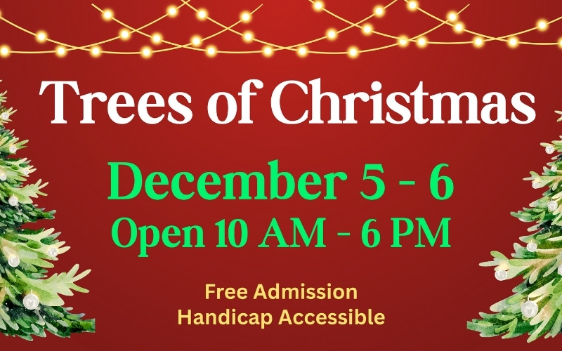 Trees of Christmas to Light Up Mary Ricks Thornton Cultural Center Dec 5-6