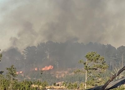 Friday Fire Burns 80 Acres