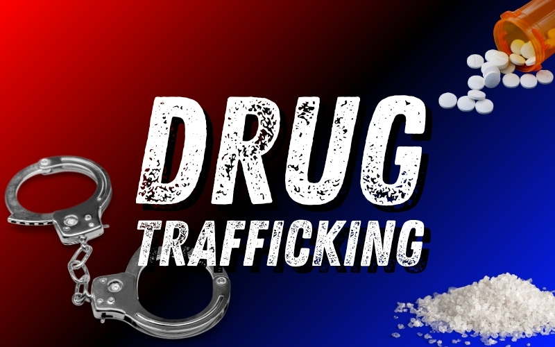 Aggravated Domestic Violence, Aggravated Drug Trafficking, and DUI in Carthage and Leake