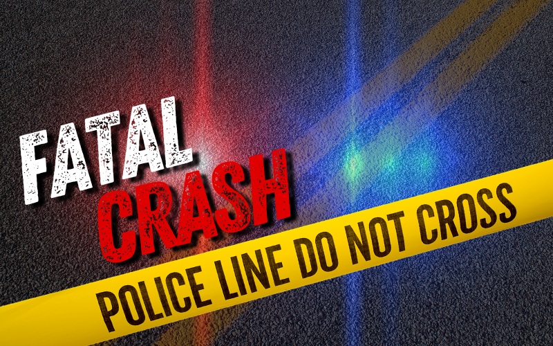 Couple Killed When Tree Falls on Vehicle