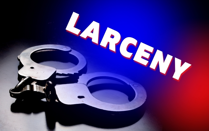 Larceny, Shoplifting, and Disorderly Conduct in Philadelphia and Neshoba Arrests