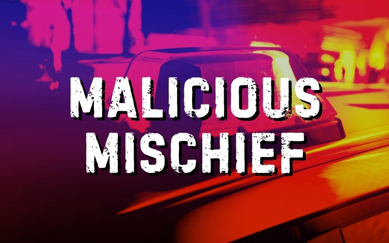 Malicious Mischief, Drugs, and DUI Arrests in Philadelphia and Neshoba County