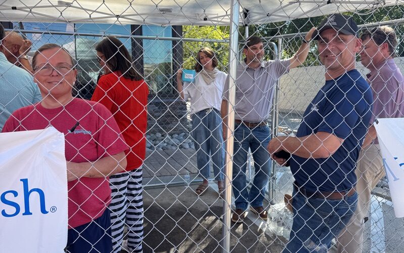 Kosy arrests