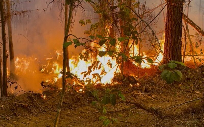 Burning During the Ban Earns Homeowner a Citation