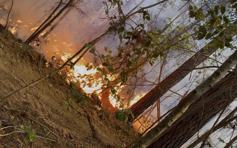 Burn Ban Ignored as Attala Firefighters Battle Multiple Fires; Costly Charges Pending
