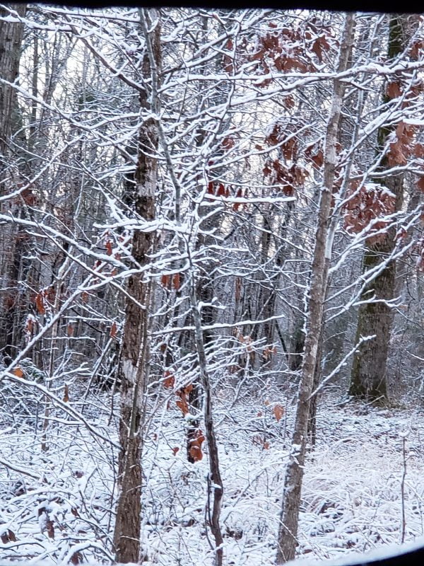 20190129_065613